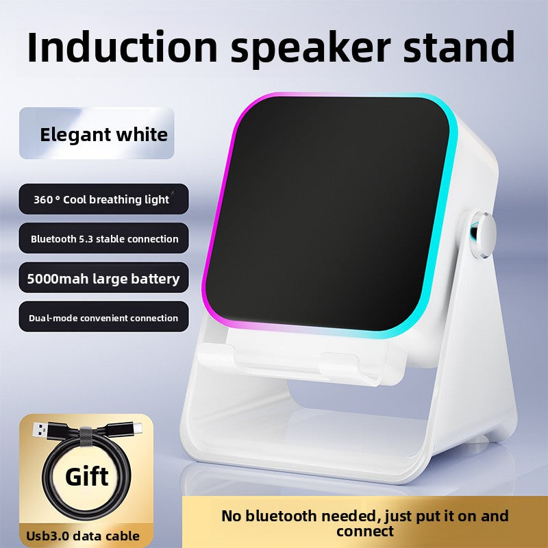 SR Multifunction RGB Wireless Speaker